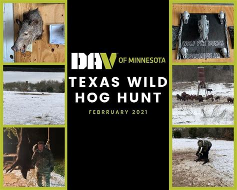 inexpensive hog hunting minnesota